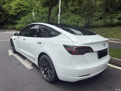 2020 Tesla Model 3 Standard Range Rear-Wheel Drive Upgrade, фото 2, лот 10352127