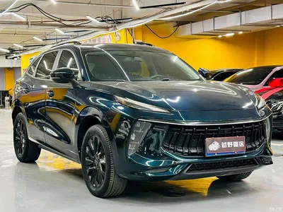 2021 Dongfeng Fengxing T5 EVO 1.5TD DCT Platinum Edition, фото 3, лот 11160736