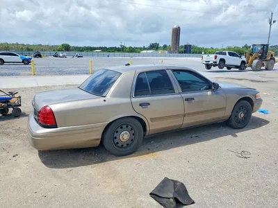 2009 FORD CROWN VICTORIA POLICE INTERCEPTOR, фото 3, лот 10545555