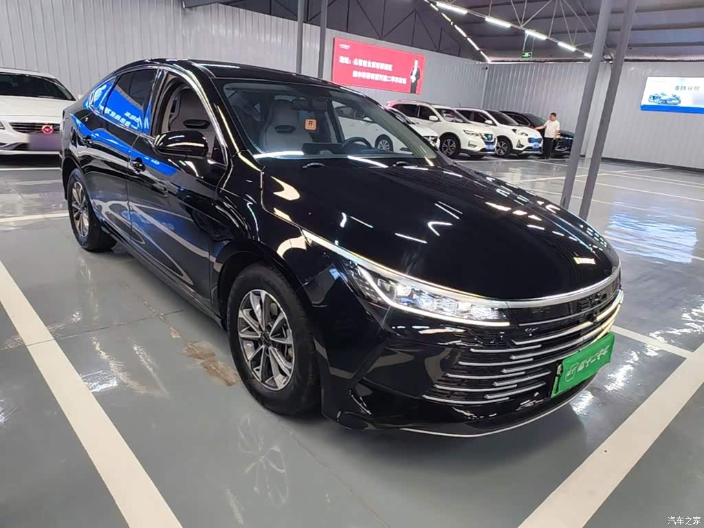 2024 BYD Destroyer 05 Glory Edition DM-i 55KM Luxury, фото 4, лот 11212852