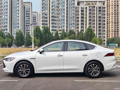2024 BYD Qin PLUS Glory Edition DM-i 55KM Leading, фото 2, лот 10780477