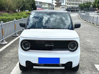 2023 Geely Galaxy Panda Mini 200km Endurance Bear, фото 2, лот 10675771