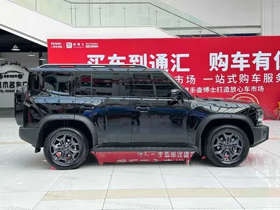 2023 Jetour Traveler Model 2.0T 4WD Cross PRO, фото 3, лот 10429918