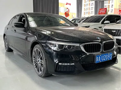 2018 BMW 5 Series Facelift 530Li Leading M Sport Package, фото 3, лот 10445720