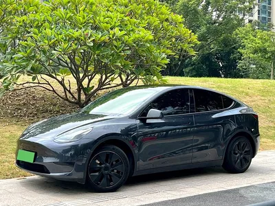2024 Tesla Model Y Rear-Wheel Drive Version, фото 1, лот 10894834