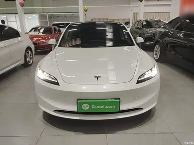 2025 Tesla Model 3 Model Rear-Wheel Drive Edition, фото 3, лот 11412458