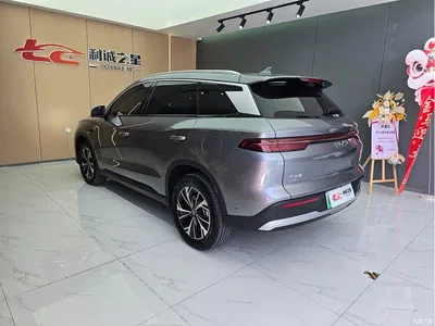 2025 BYD Song Pro New Energy 2nd Generation Smart Drive Edition DM-i 75KM Leading Type, фото 4, лот 10275112