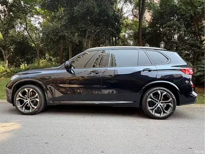 2022 BMW X5 xDrive 40Li Premium M Sport Package, фото 3, лот 10667614