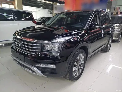 2017 GAC Trumpchi Trumpchi GS8 320T AWD Luxury Smart Connect (7-Seater), фото 2, лот 11242966