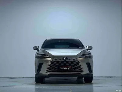 2025 Lexus RX 300 4WD Premium Edition, фото 3, лот 10314133