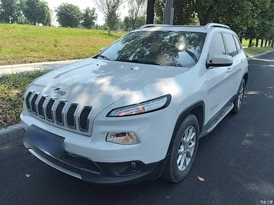 2016 Jeep Cherokee 2.4L Professional Smart Edition, фото 1, лот 10291819