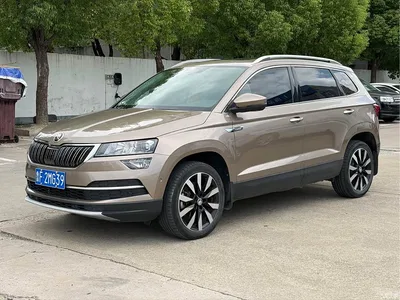 2020 Škoda Karoq TSI280 Smart Luxury Edition China VI, фото 1, лот 10348741