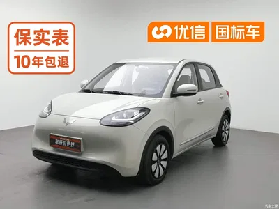 2023 Wuling Motors Wuling Bingo Model 203km Lite Enjoyment Edition, фото 1, лот 10354890