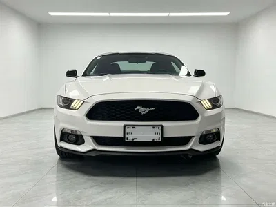 2017 Ford Mustang 2.3T Performance Edition, фото 2, лот 10296925
