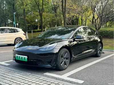 2021 Tesla Model 3 Standard Range Rear-Wheel Drive Upgrade 3D6, фото 1, лот 10620608