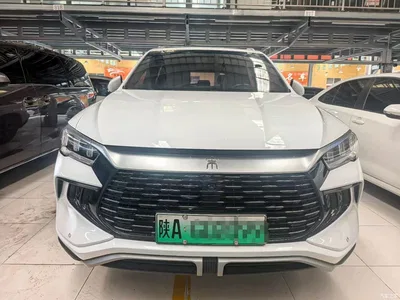 2024 BYD Song Pro New Energy Glory Edition DM-i 71KM Pilot, фото 2, лот 11190116