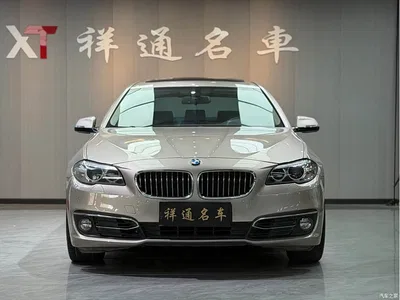 2013 BMW 5 Series 525Li Luxury, фото 1, лот 10885618