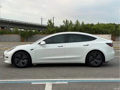2019 Tesla Model 3 (Import) Long Range All-Wheel Drive Edition, фото 3, лот 10404369
