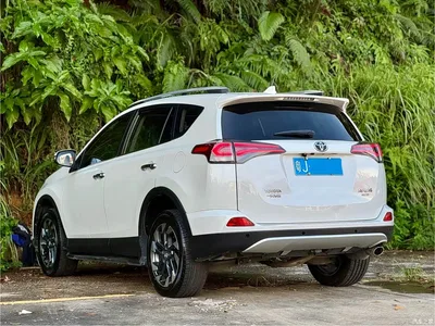 2016 Toyota RAV4 Rongfang 2.5L Automatic 4WD Elite, фото 4, лот 11534407
