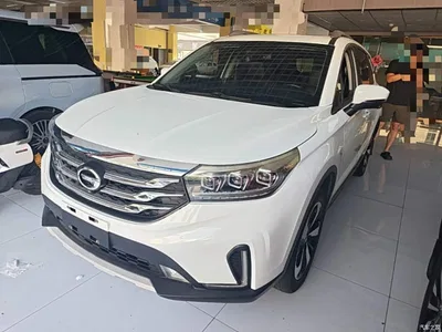 2018 GAC Trumpchi Trumpchi GS4 235T Auto 2WD Supreme Edition, фото 1, лот 10422264