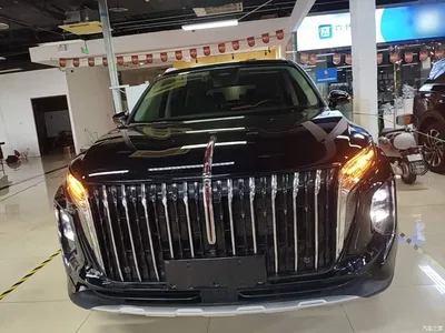 2024 Hongqi HS7 PHEV 2.0T PHEV 4WD Flagship Edition 6-seater, фото 3, лот 11212182