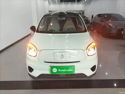 2024 Leapmotor T03 310 Comfort Edition, фото 3, лот 11218153