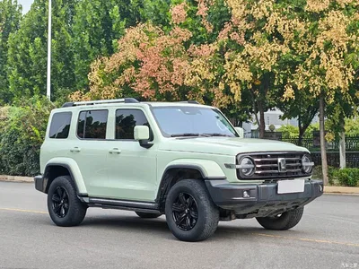 2023 Tank 300 Urban Edition 2.0T Very Stylish, фото 2, лот 11225295