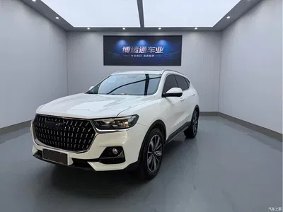 2023 Haval H6 National Trend Edition 1.5T Automatic Champion, фото 1, лот 10283414