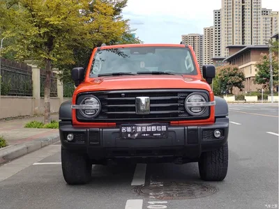 2021 Tank 300 Off-road Version 2.0T Conqueror, фото 2, лот 11552645