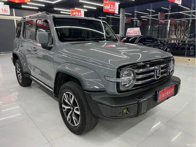 2021 Tank 300 Urban Edition 2.0T Stylish, фото 3, лот 10345118