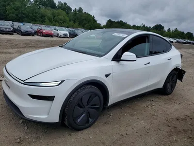 2026 TESLA MODEL Y, фото 1, лот 10855567