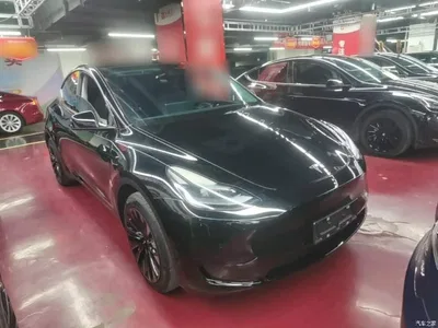 2022 Tesla Model Y Rear-Wheel Drive Version, фото 4, лот 11567664