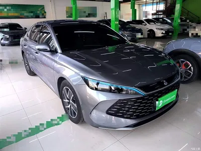 2024 BYD Qin L DM-i 80KM Superior, фото 4, лот 10266083