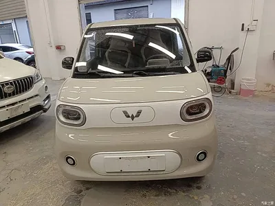 2024 Wuling Motors Hongguang MINIEV 3rd Generation 215km Youth Edition, фото 3, лот 10371114