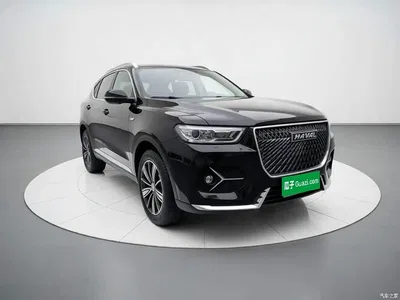 2021 Haval H6 Model 1.5T Automatic Champion Edition, фото 3, лот 11199215