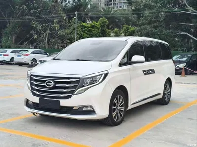 2018 GAC Trumpchi Trumpchi M8 320T Premium Edition, фото 1, лот 10418826