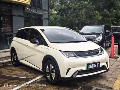 2023 BYD Dolphin 420km Freedom Edition, фото 3, лот 10256668
