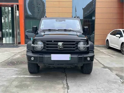 2025 Tank 300 New Energy Hi4-T, фото 2, лот 10344032