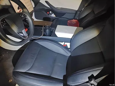 2023 Tesla Model 3 Rear-Wheel Drive, фото 4, лот 10368470
