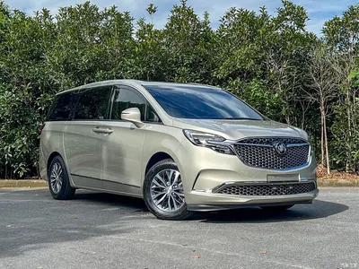 2021 Buick GL8 ES Landlord 653T Premium, фото 3, лот 10250325