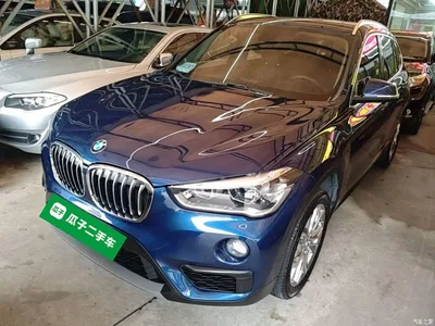 2019 BMW X1 sDrive20Li Leading Model, фото 2, лот 10467496