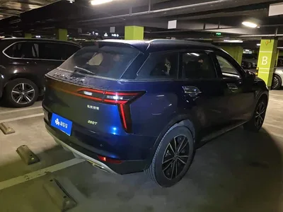 2020 Venucia Star 260T Automatic 48V Mild Hybrid Turbo Starlight Edition, фото 3, лот 11148485