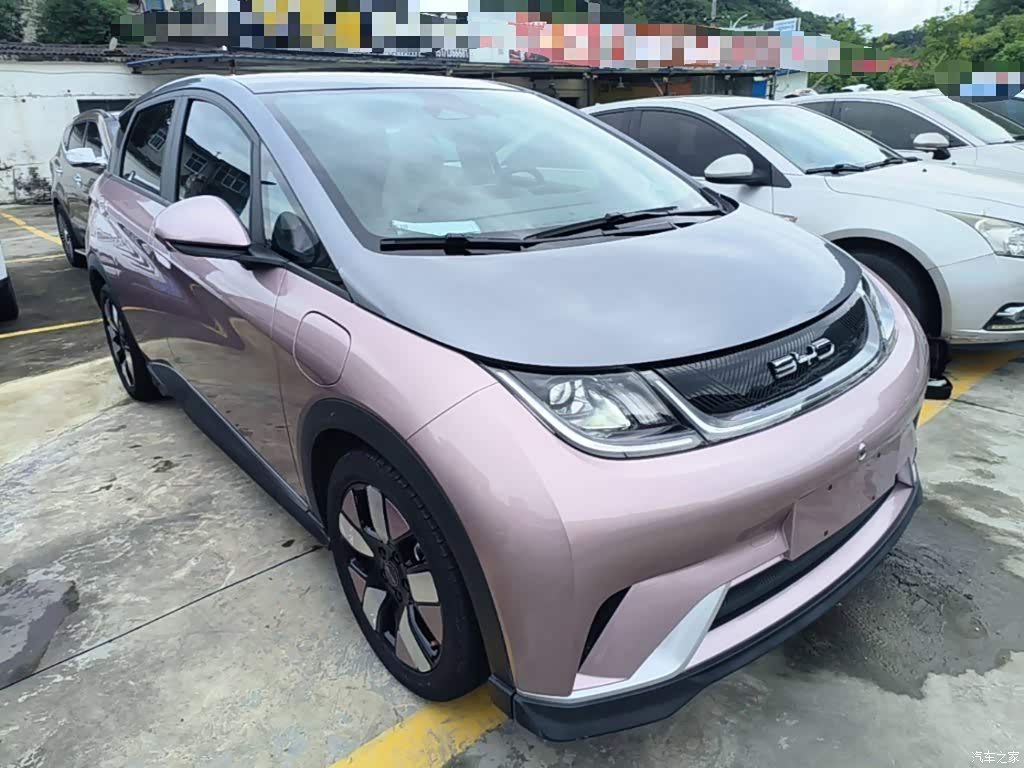 2021 BYD Dolphin 401km Knight Edition, фото 4, лот 11215759