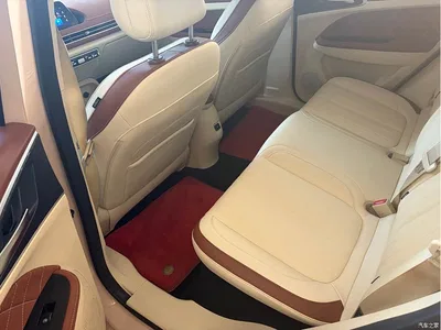 2022 Ora Good Cat 400km Standard Range Luxury LFP, фото 4, лот 10330640