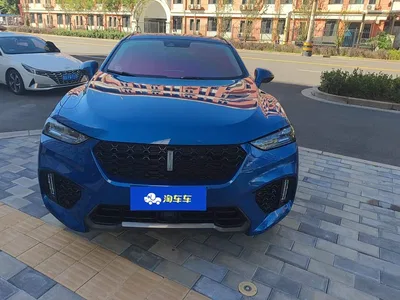 2017 WEY VV7 2.0T Flagship, фото 2, лот 10448909