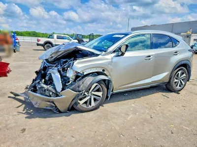 2019 LEXUS NX 300 BASE, фото 1, лот 10906121