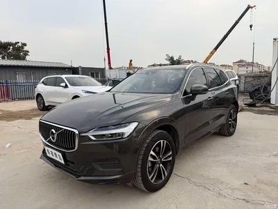 2019 Volvo XC60 T5 AWD Inscription Luxury Edition China VI, фото 1, лот 11197548