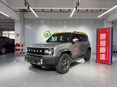 2023 Jetour Traveler Model 2.0T 4WD Cross PRO, фото 1, лот 10430016