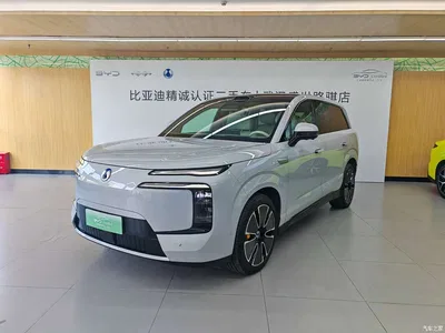 2025 Denza N8L Standard, фото 1, лот 10346377