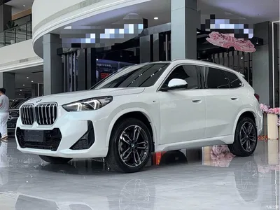 2024 BMW X1 sDrive25Li M Sport Package, фото 1, лот 10829152